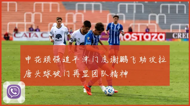 申花顽强追平津门虎谢鹏飞助攻拉唐头球破门再显团队精神